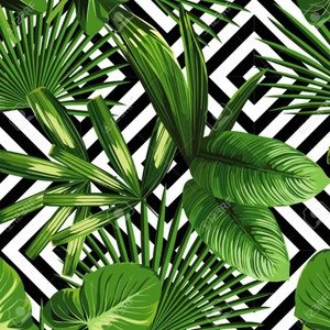 Meet your Posher, Lani